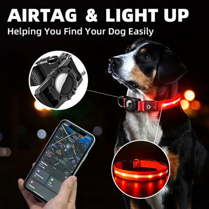 LED Glow Nylon Pet Collar - Locator Ready, Rechargeable