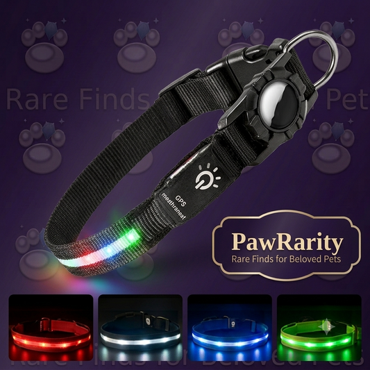 LED Glow Nylon Pet Collar - Locator Ready, Rechargeable