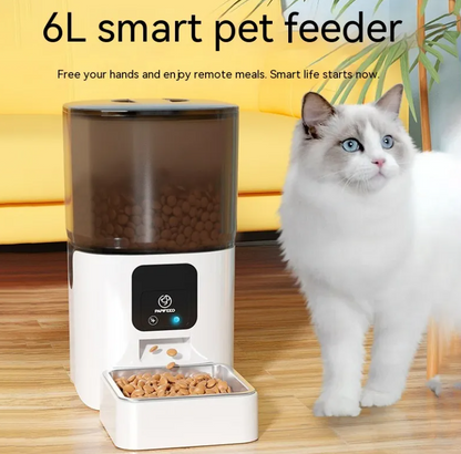 Smart Cat Feeder Pro