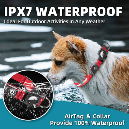 LED Glow Nylon Pet Collar - Locator Ready, Rechargeable