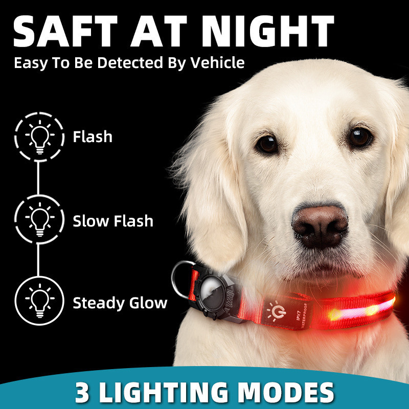 LED Glow Nylon Pet Collar - Locator Ready, Rechargeable